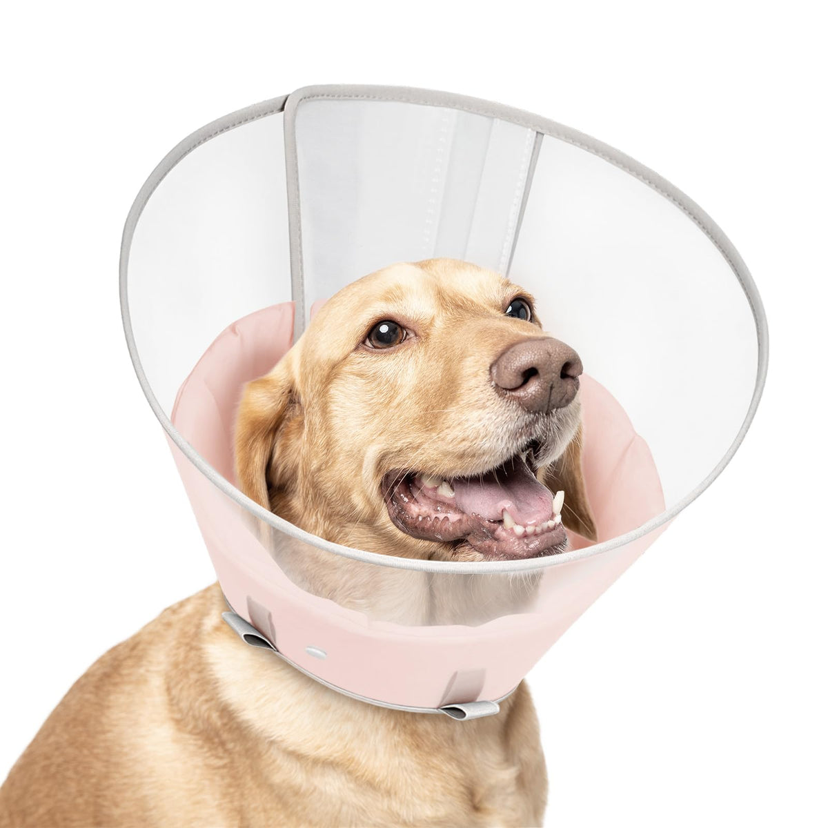 Petdream collar cono transparente frente para moverse con seguridad y facilidad