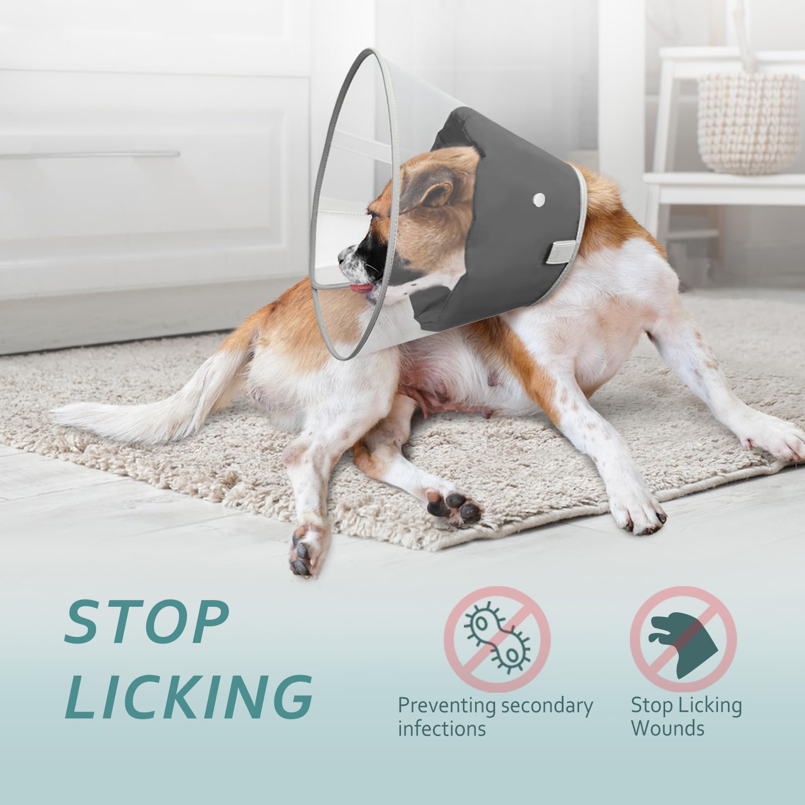 Petdream cono para perro con visión transparente para moverse con facilidad.
