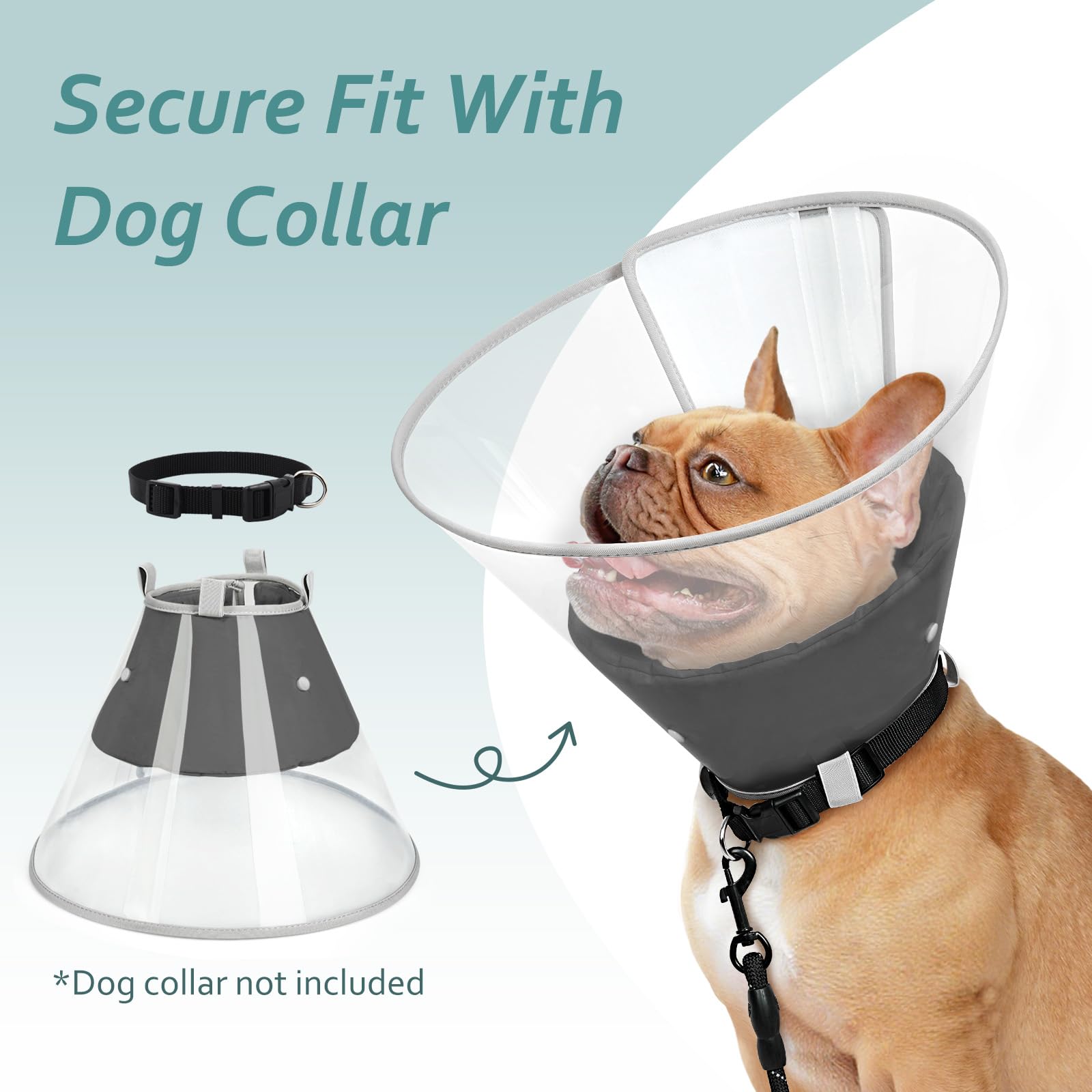 Petdream cono disponible en tallas diferentes para adaptar al tamaño del perro.