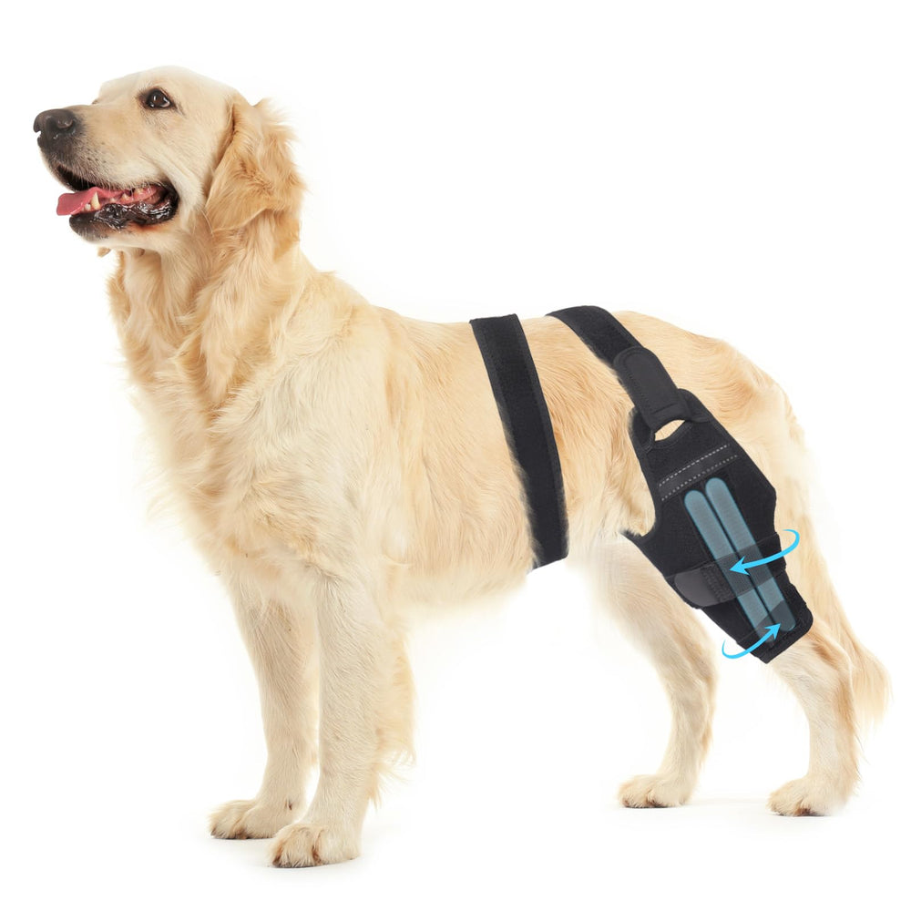 Petdream rodillera para perro con ajuste derecho, soporte de rodilla para ACL/CCL.