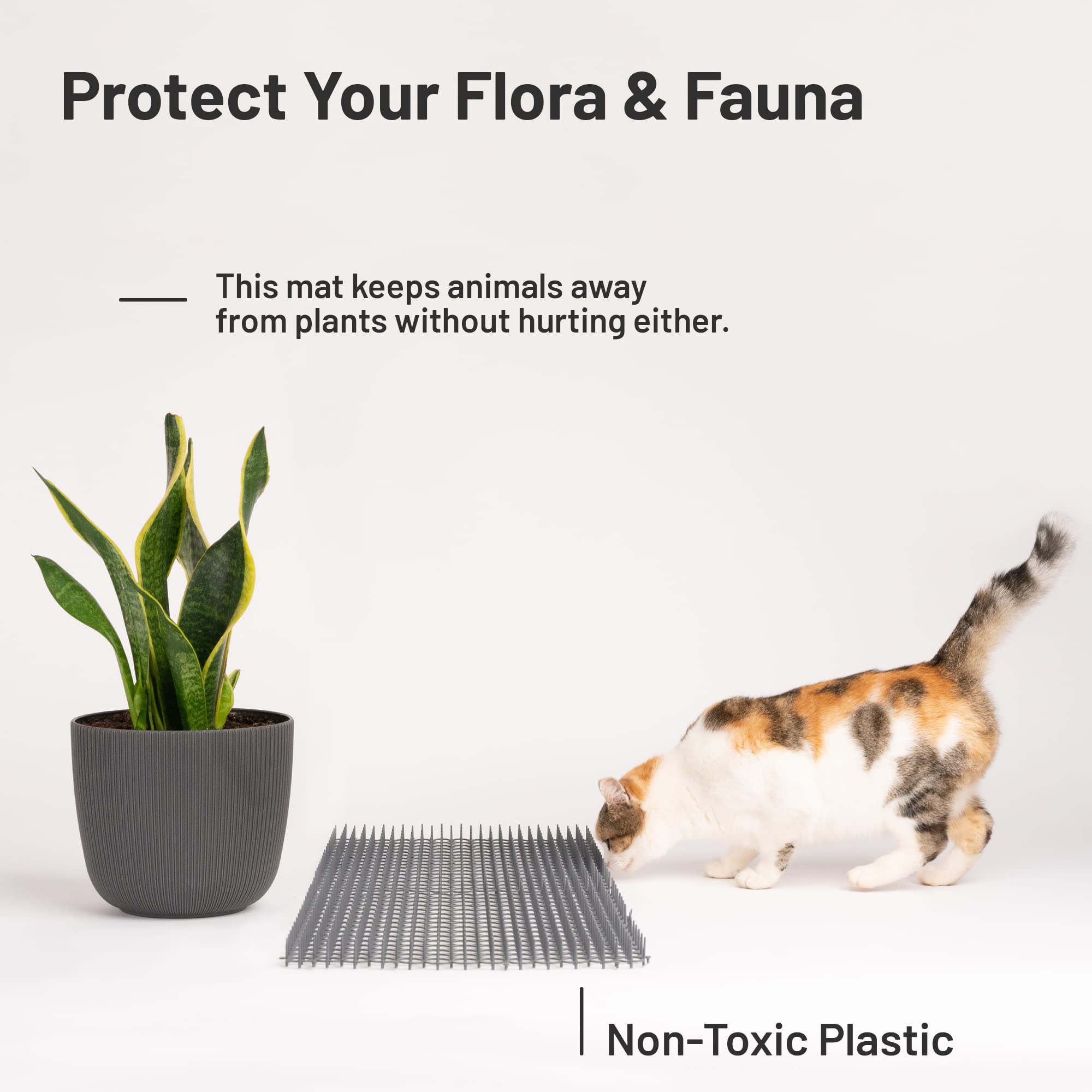 Petfolio disuasor para gatos uso exterior: funciona también en jardineras y puertas