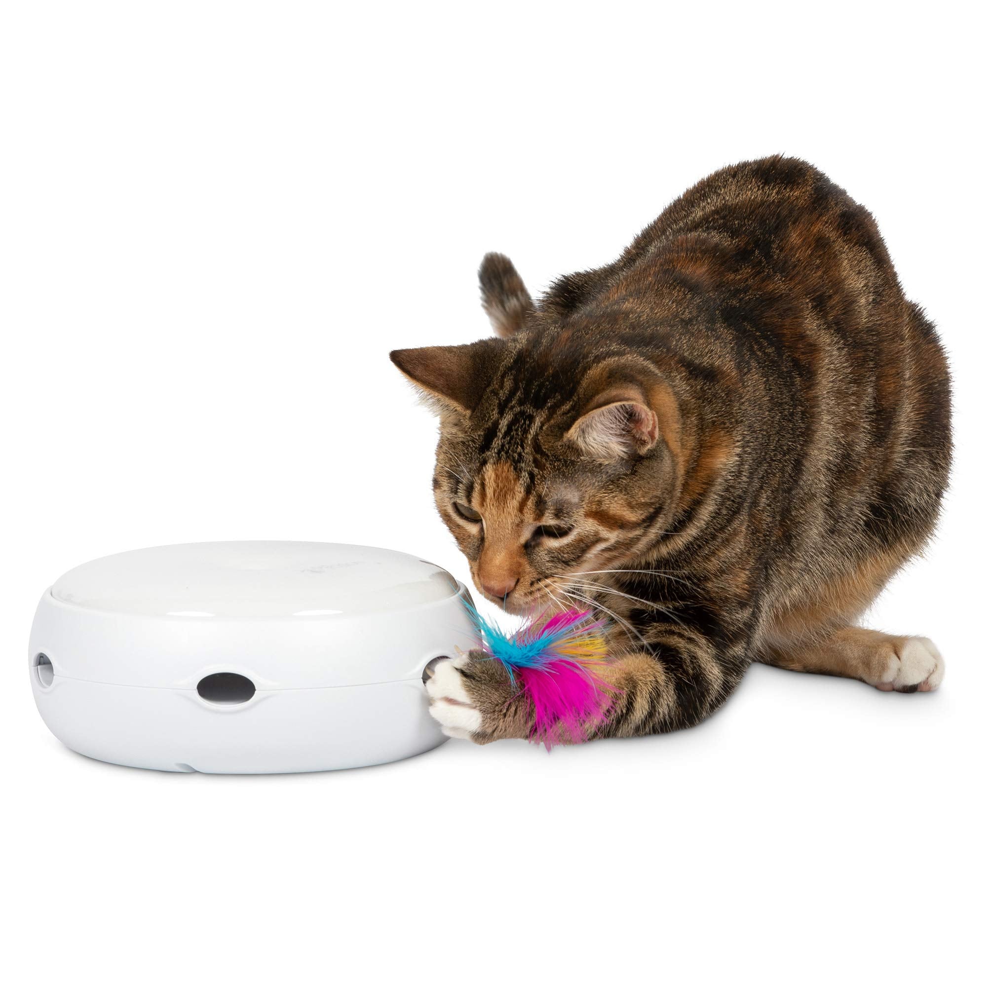 PetFusion Ambush: juguete interactivo para gatos con plumas que estimula la caza.