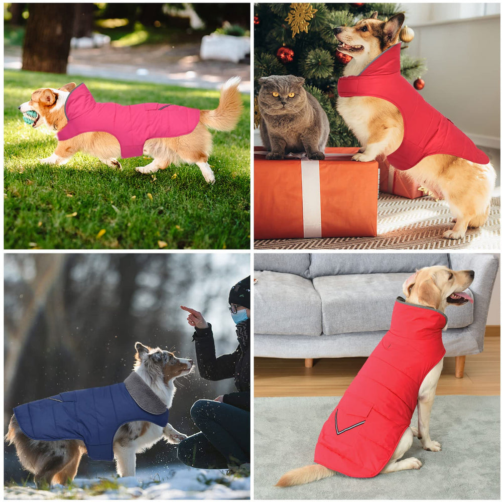Petglad bolsillo en la espalda añade estilo y espacio para objetos.