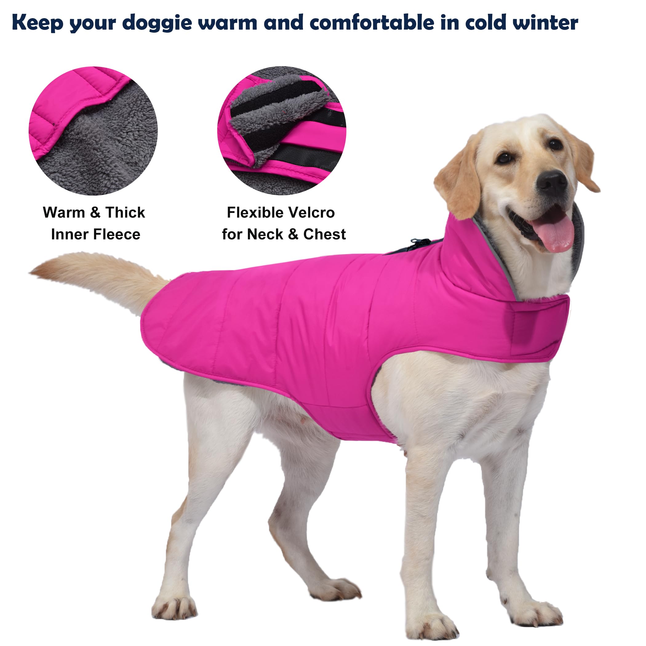 Petglad chaqueta con cuello alto para proteger orejas en frío extremo.