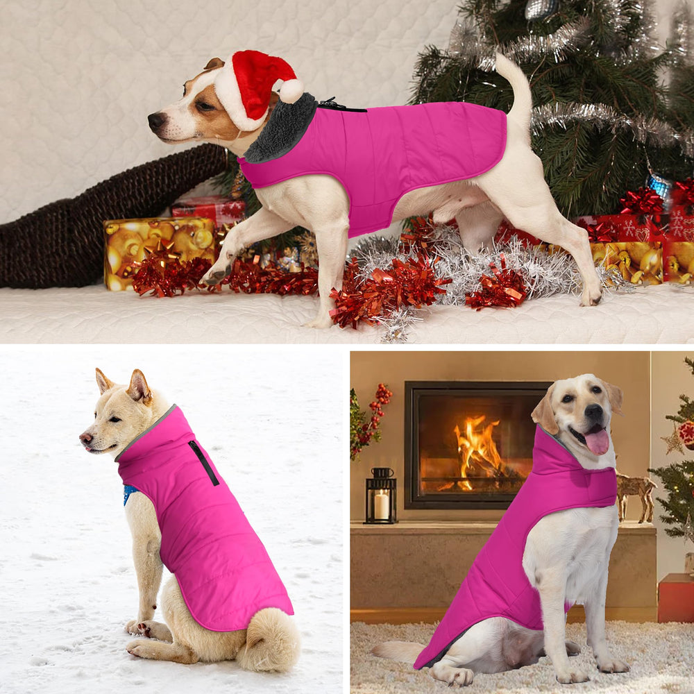 Petglad chaqueta para uso diario y paseos nocturnos en invierno.