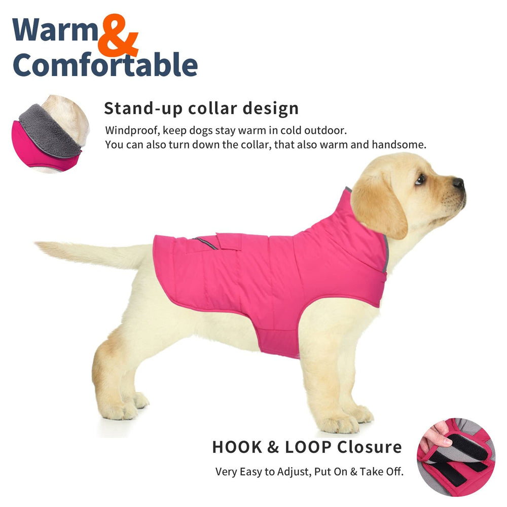 Petglad chaqueta de invierno para perro, reflectante y cierre ajustable para mayor seguridad.