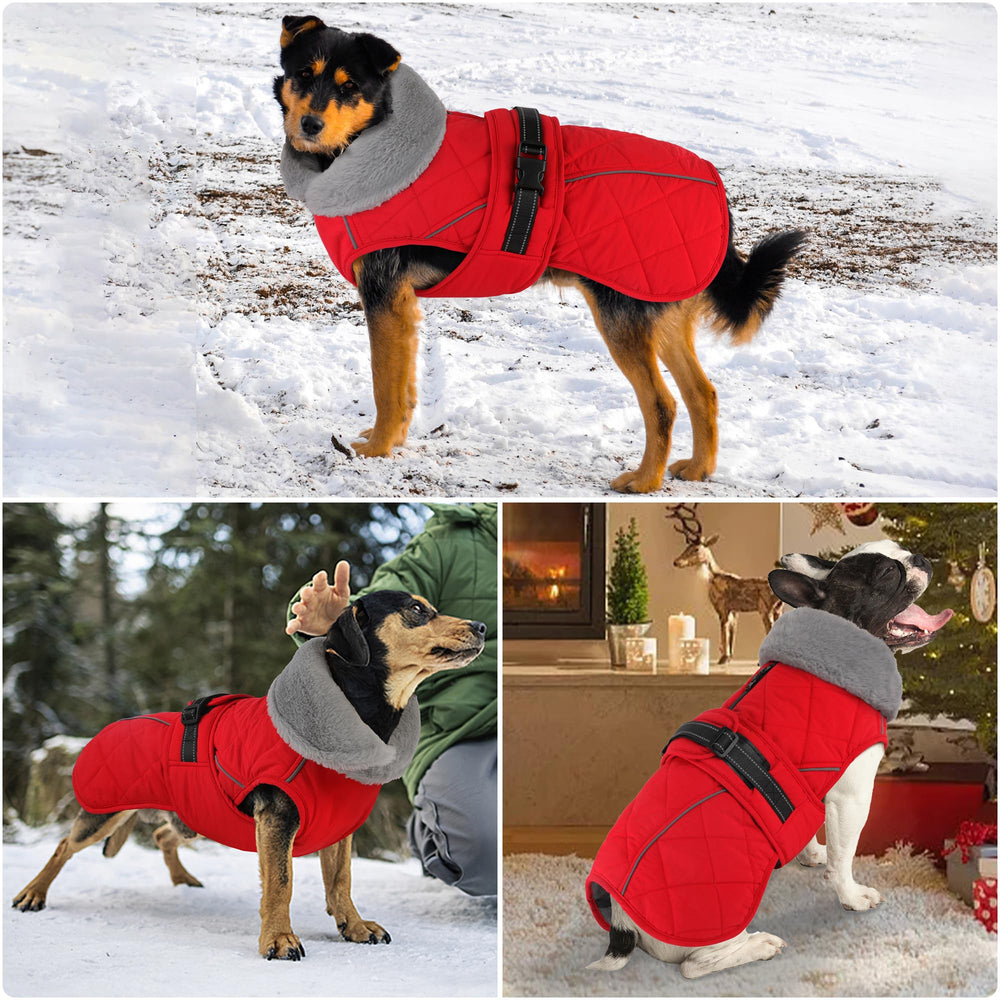 Petglad Diseño en seis tallas facilita encontrar el ajuste perfecto.