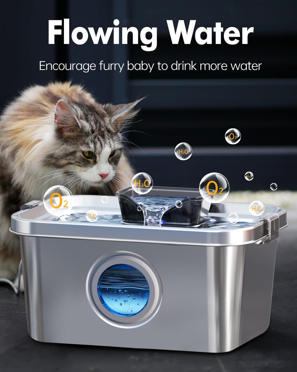 Diseño ancho de la fuente para perros grandes y cómodos tragos.