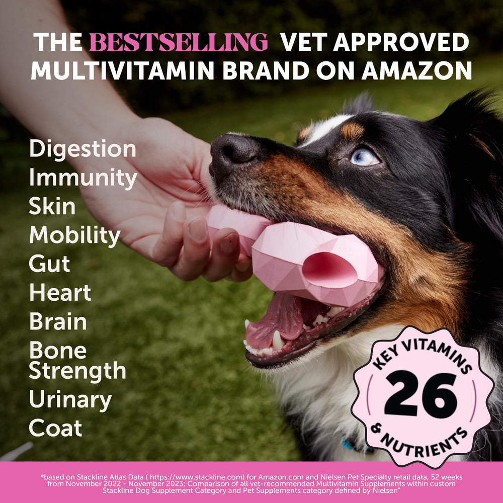 Pet Honesty, apoyo articular y de huesos en cada chews.