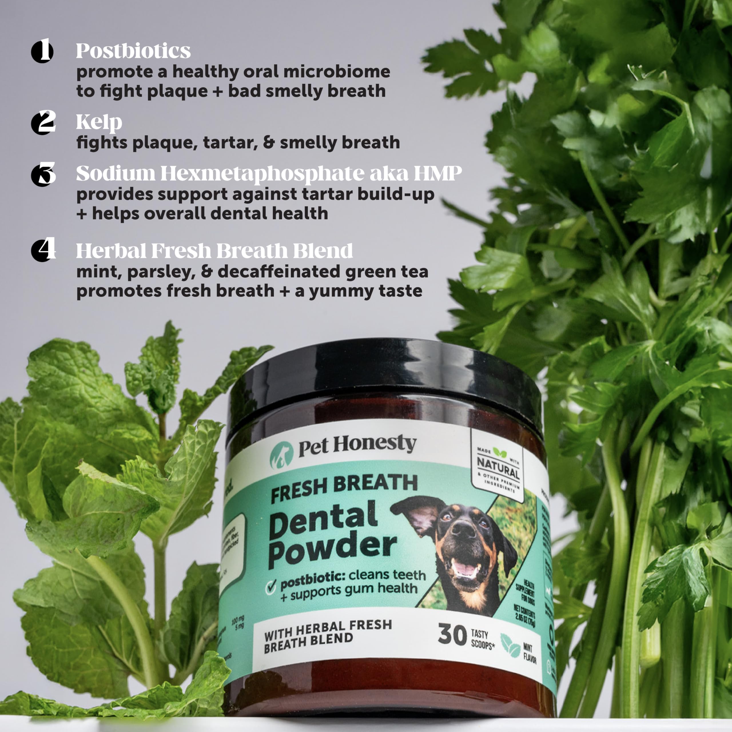 Pet Honesty Facilita el cuidado dental diario para perros activos.