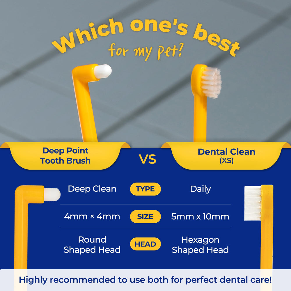 PETHROOM cepillo dental para uso diario, perfecto para rutinas de higiene.