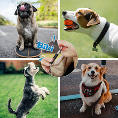 Petiddy silbato para perros ajustable, encuentra la frecuencia óptima para cada perro.