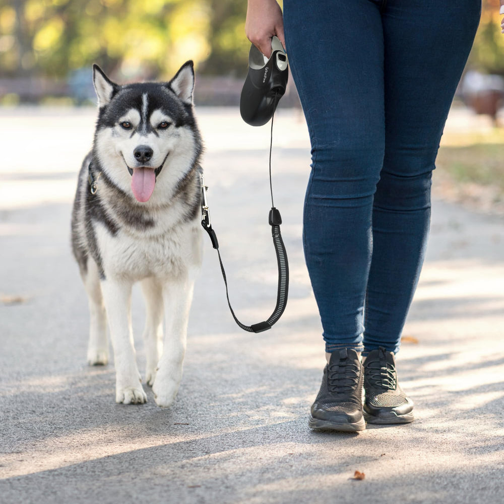 PetiFine uso diario para paseos con perros medianos y grandes