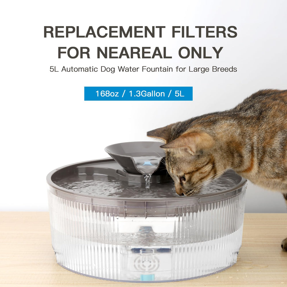 Petilog paquete de 6 filtros y 6 esponjas para fuente de perros, mantenimiento sencillo