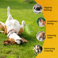 Petinstinct juguete interactivo con sonido, ideal para perros pequeños