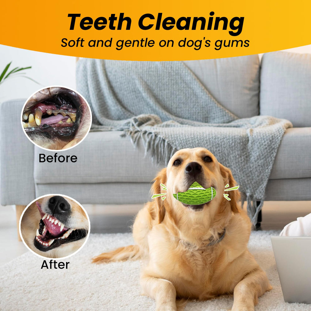 Petinstinct perfecto para juegos de recuperación al aire libre.