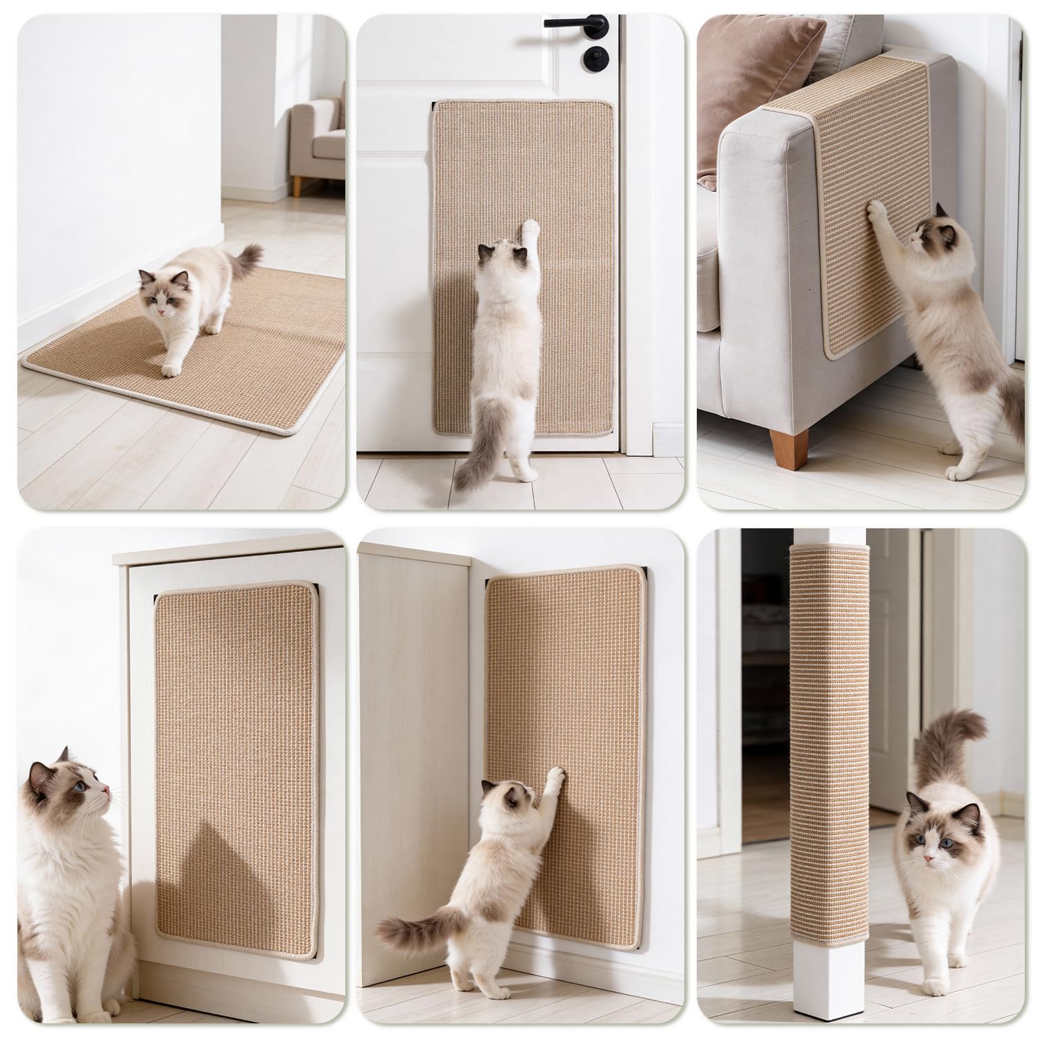 Petinstinct uso multiple, sirve como tapete, proteccion y juego.
