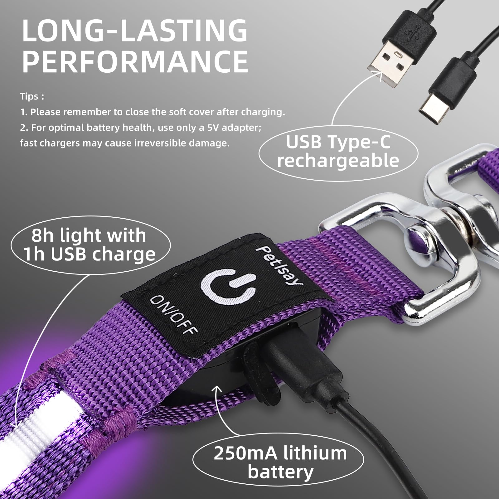 PetIsay correa recargable por USB-C y carga rápida.