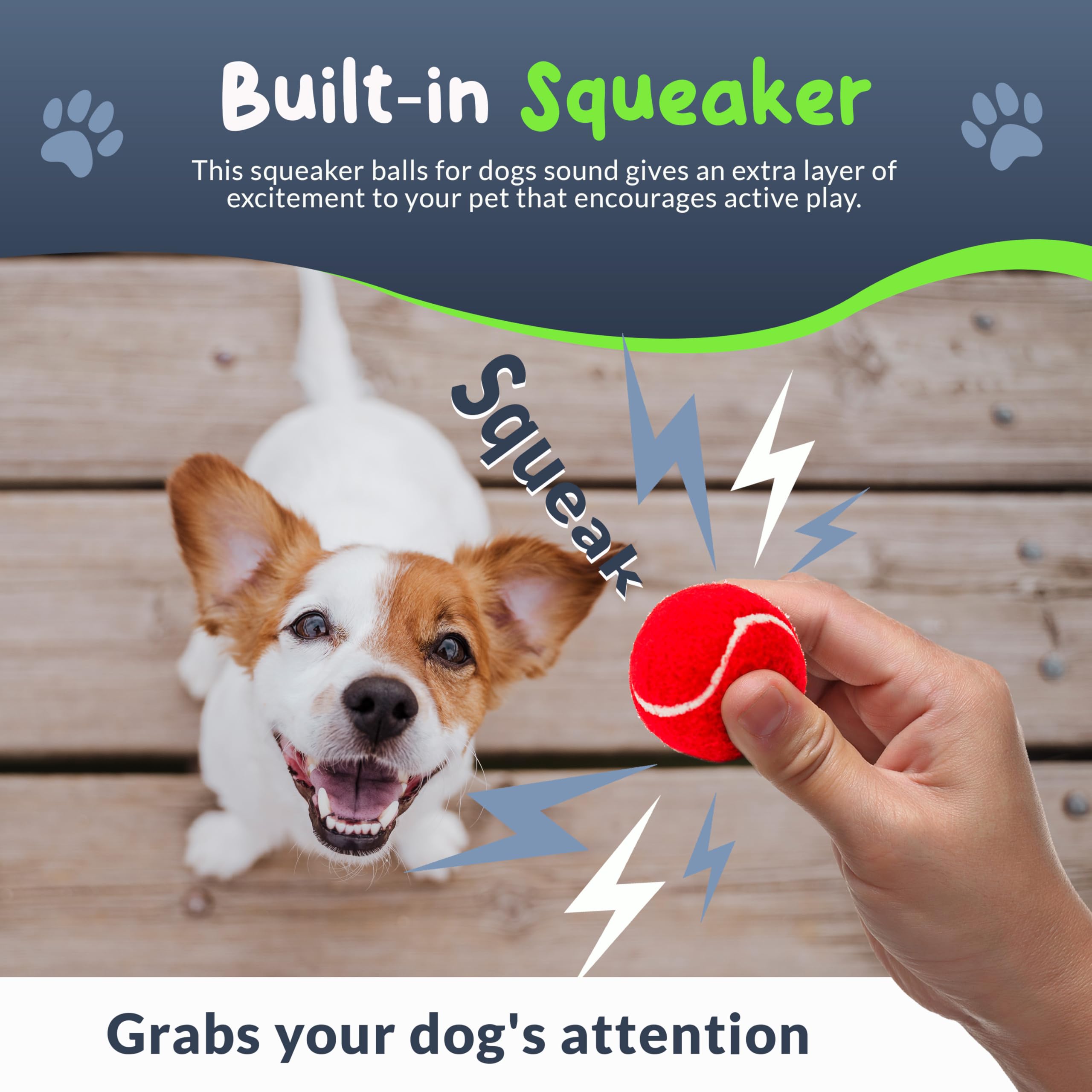 Bola Petite Paws con sonajero de 1,5 pulgadas para juego interactivo.