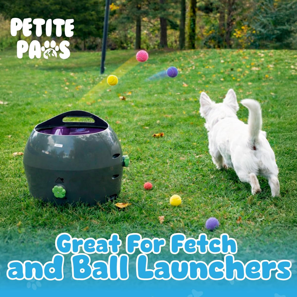 Pelotas de tenis pequeñas Petite Paws, visibles y duraderas para entrenamiento.