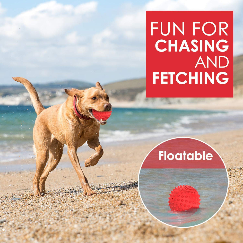 Petizer bola flotante con sonido para juego al aire libre