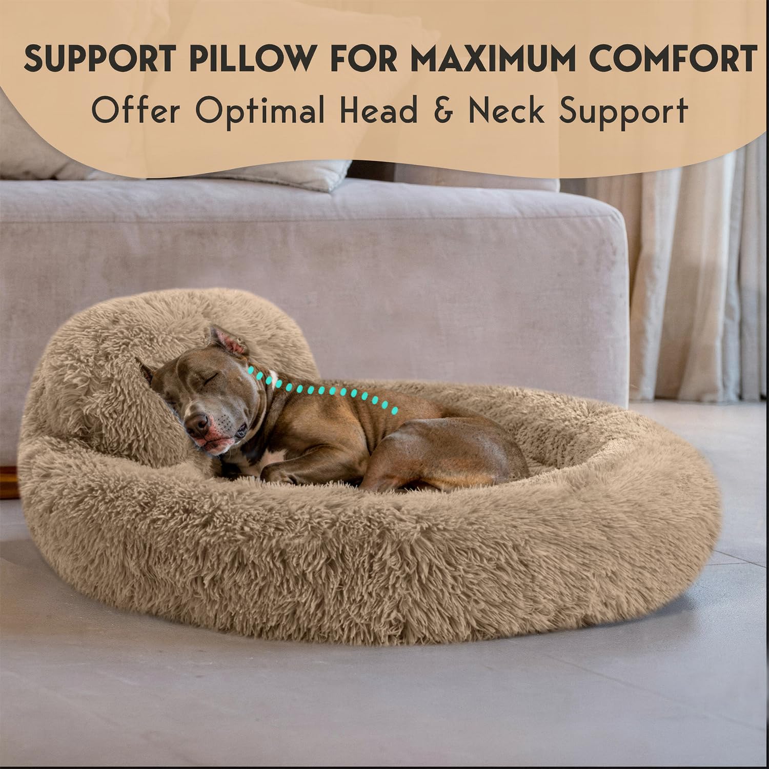 PetJett cama para Perro Grande, base antideslizante para mayor estabilidad