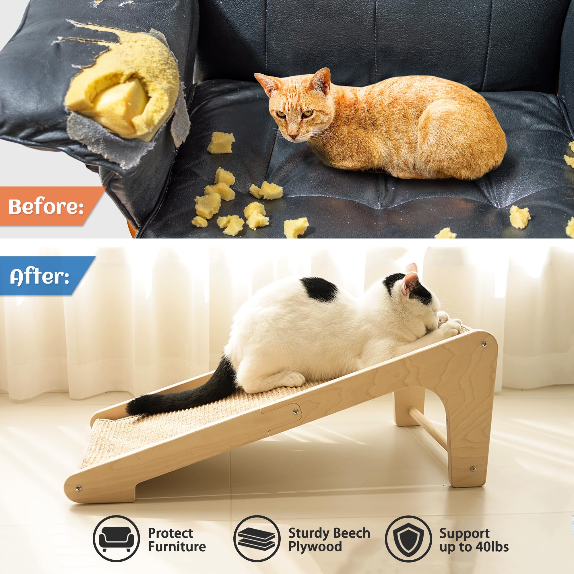 PETKARAY incluye hierba gatera para atraer al gato