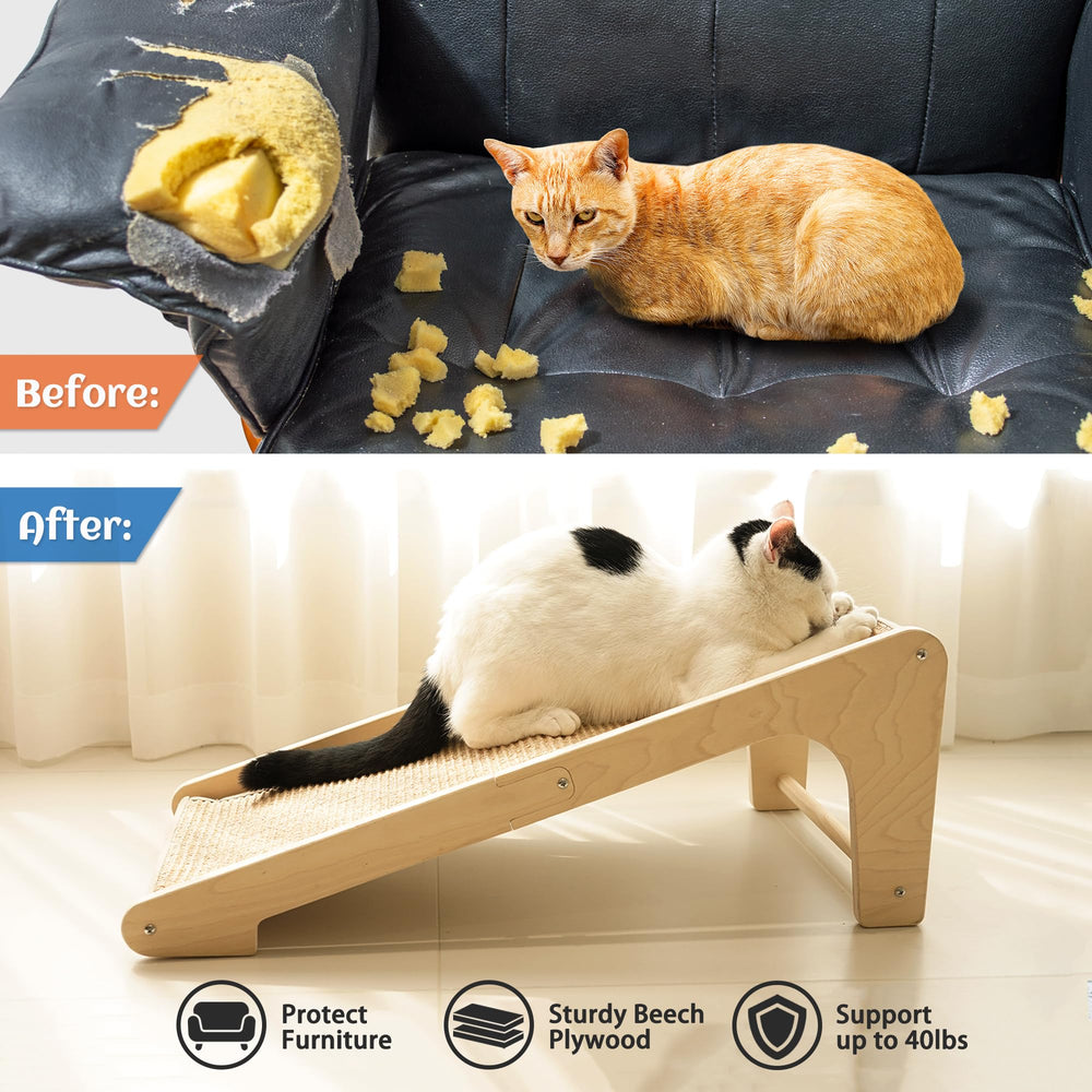 PETKARAY incluye hierba gatera para atraer al gato