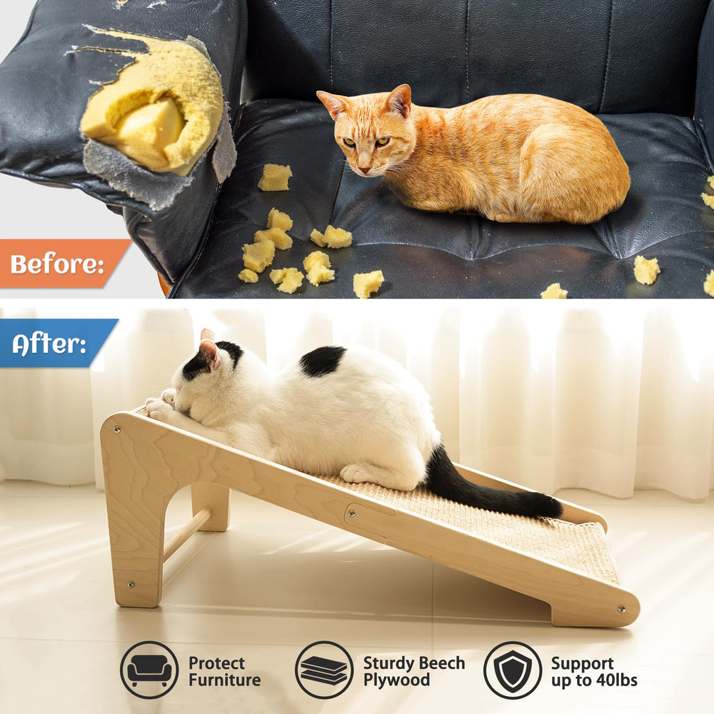 PETKARAY mentas para gatos incluidas, recompensa atractiva para rascar