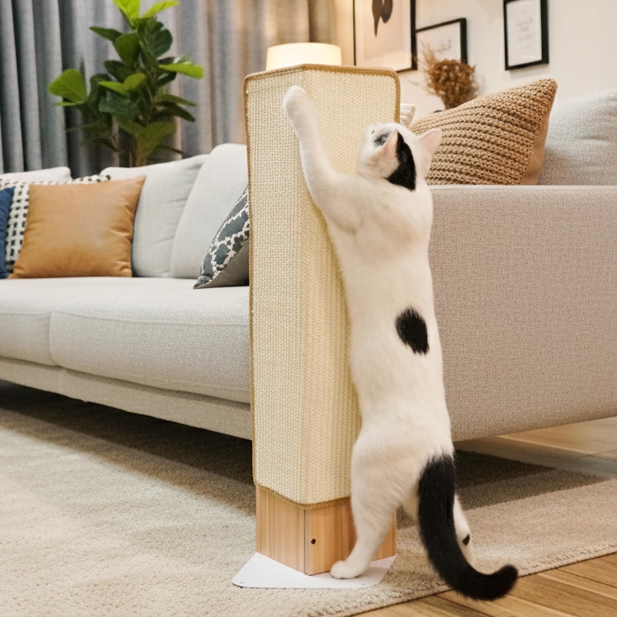 PetKARAY protege muebles del salón con rascador de esquina.