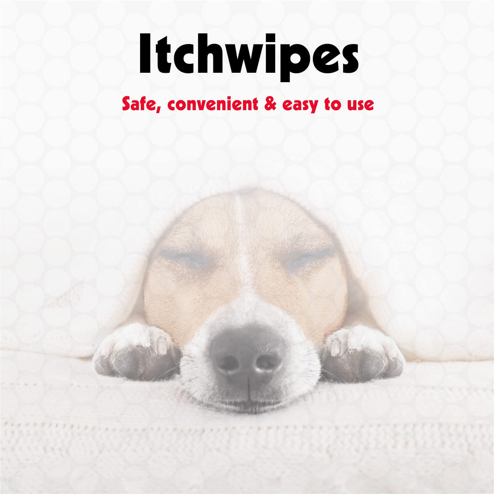 Petkin Anti Itch Wipes: una toallita lista para calmar irritaciones superficiales