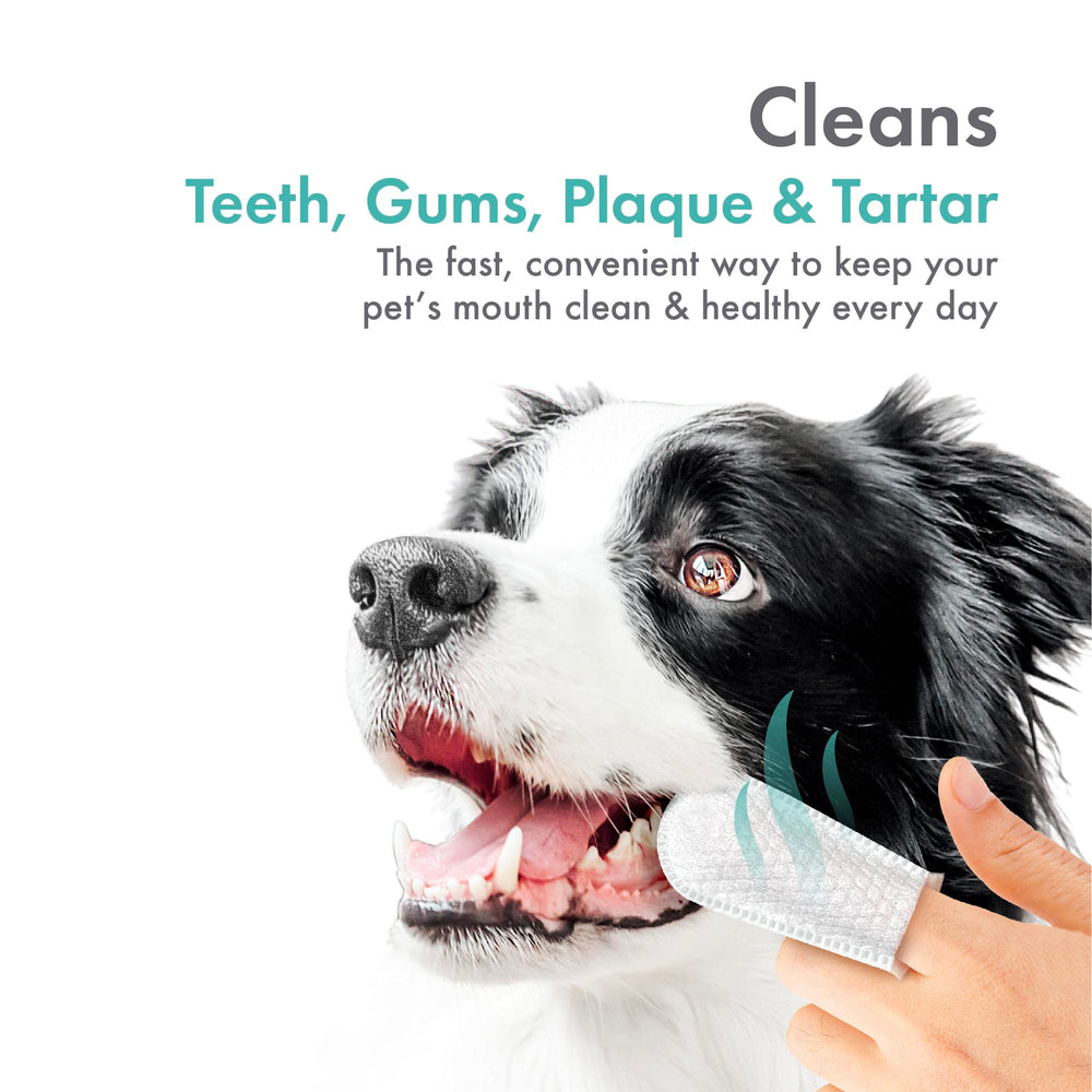 Fibras micro limpian dientes y reducen placa con cuidado.