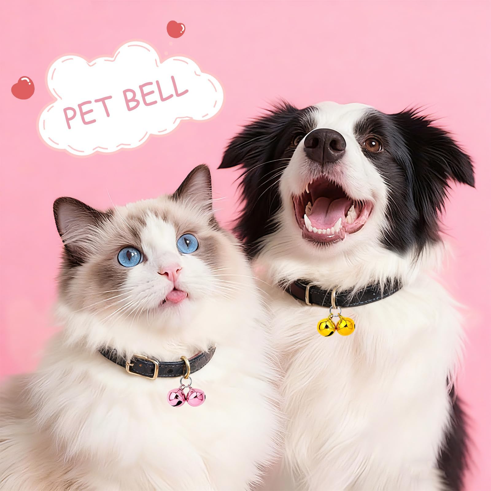 Seis colores brillantes ofrecen estilo y personalización para cada mascota.