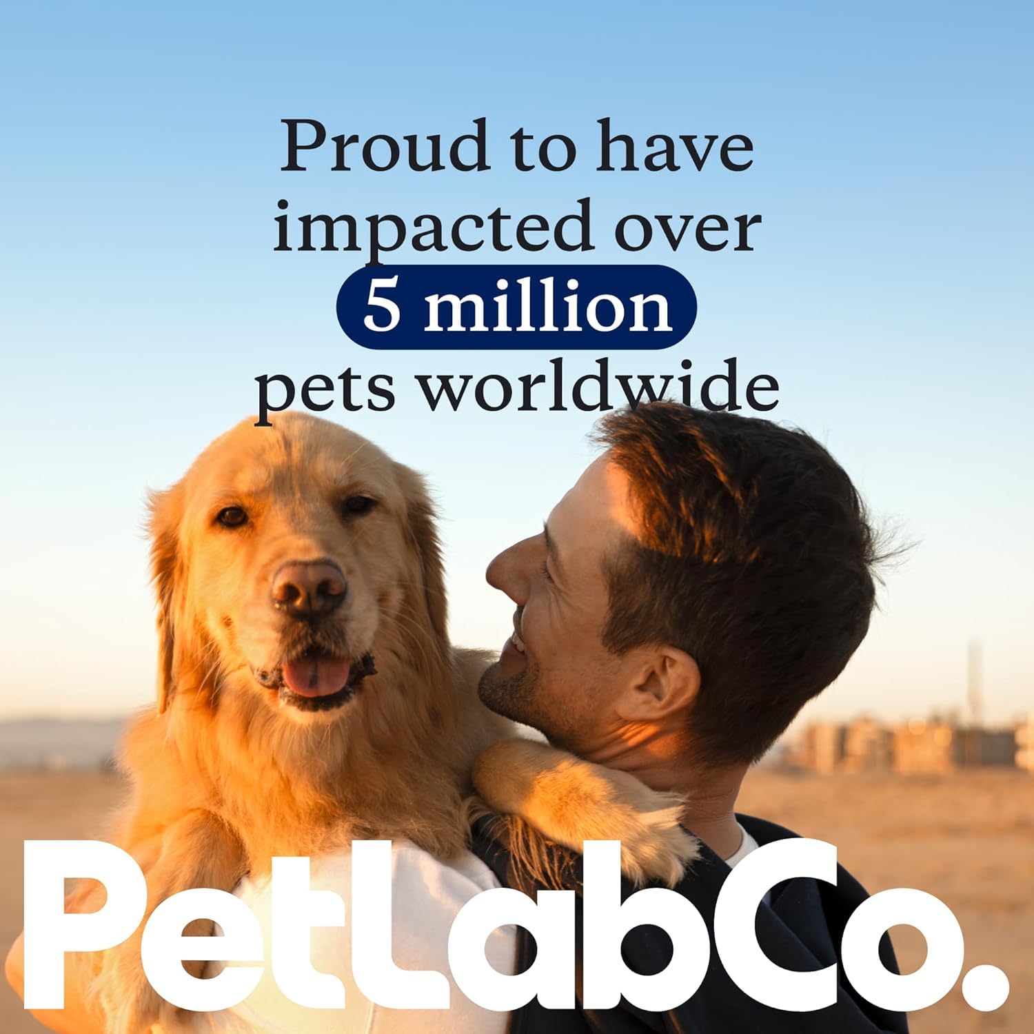Bâtonnets dentaires PetLab Co, l’option premium pour les chiens.
