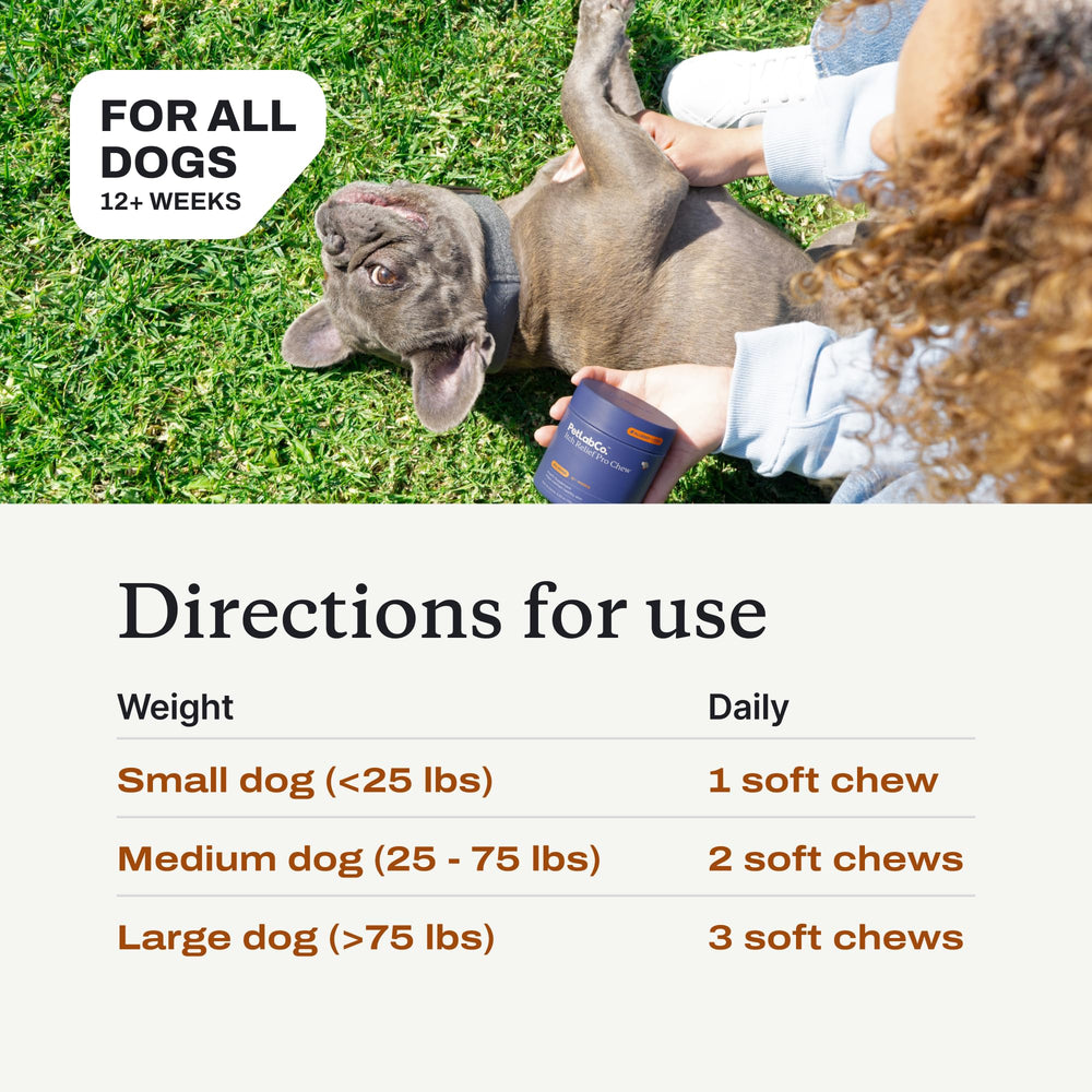 PetLab Co Itch Relief Chew Pro uso diario para perros activos.
