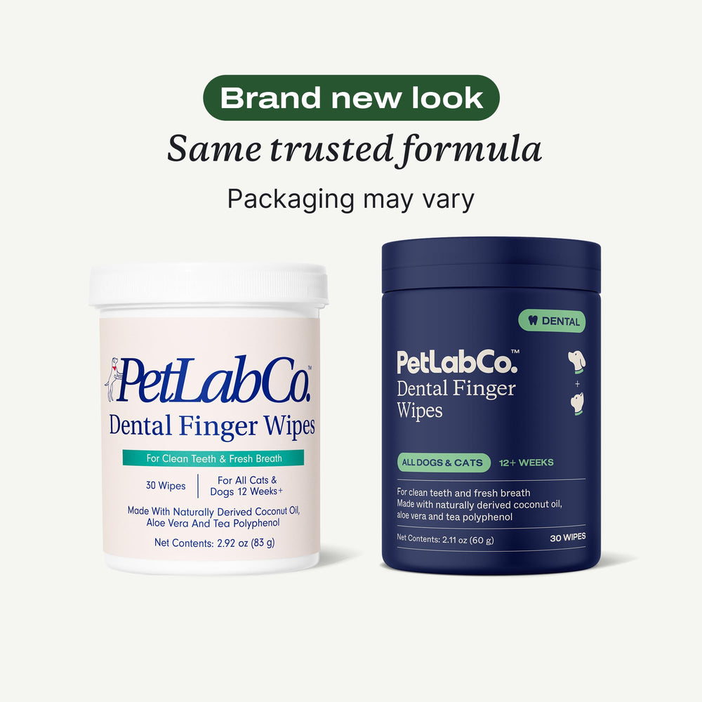 PetLab Co. limpieza bucal para perros y gatos en casa