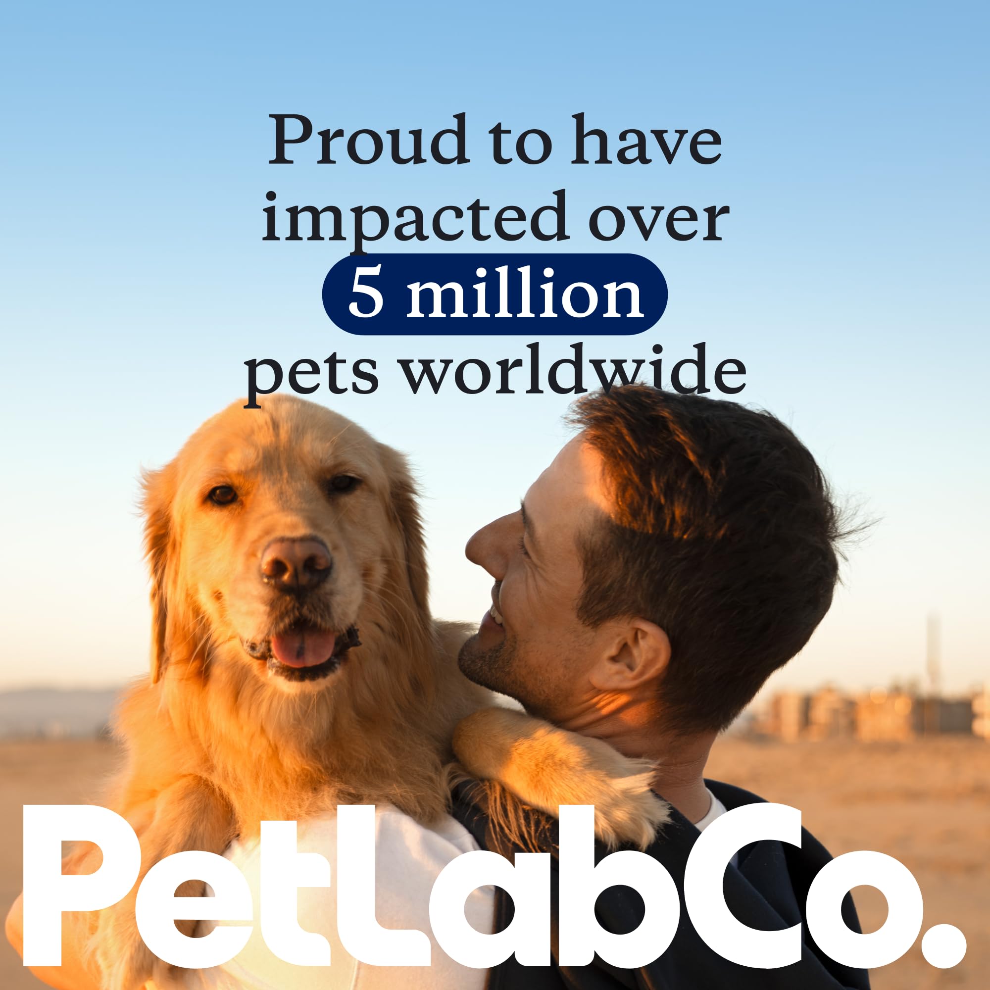 PetLab Co perro activo gracias a las gomitas para articulaciones