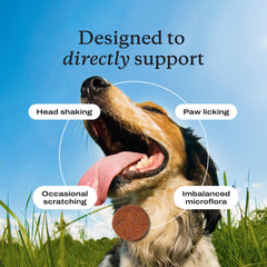 PetLab Co. probióticos para perros, apoyo digestivo y equilibrio intestinal.