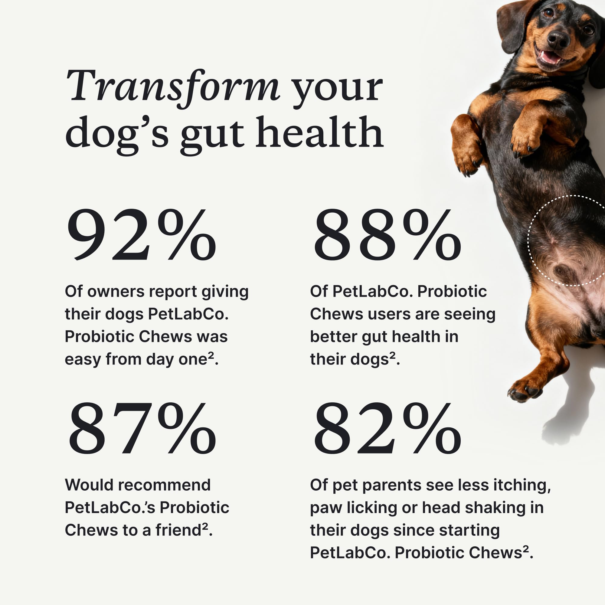 PetLab Co Probiotics para perros: soporte digestivo diario para mascotas