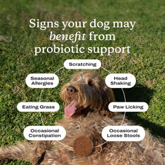 Etiqueta de PetLab Co Probióticos para perros, calidad NASC certificada.