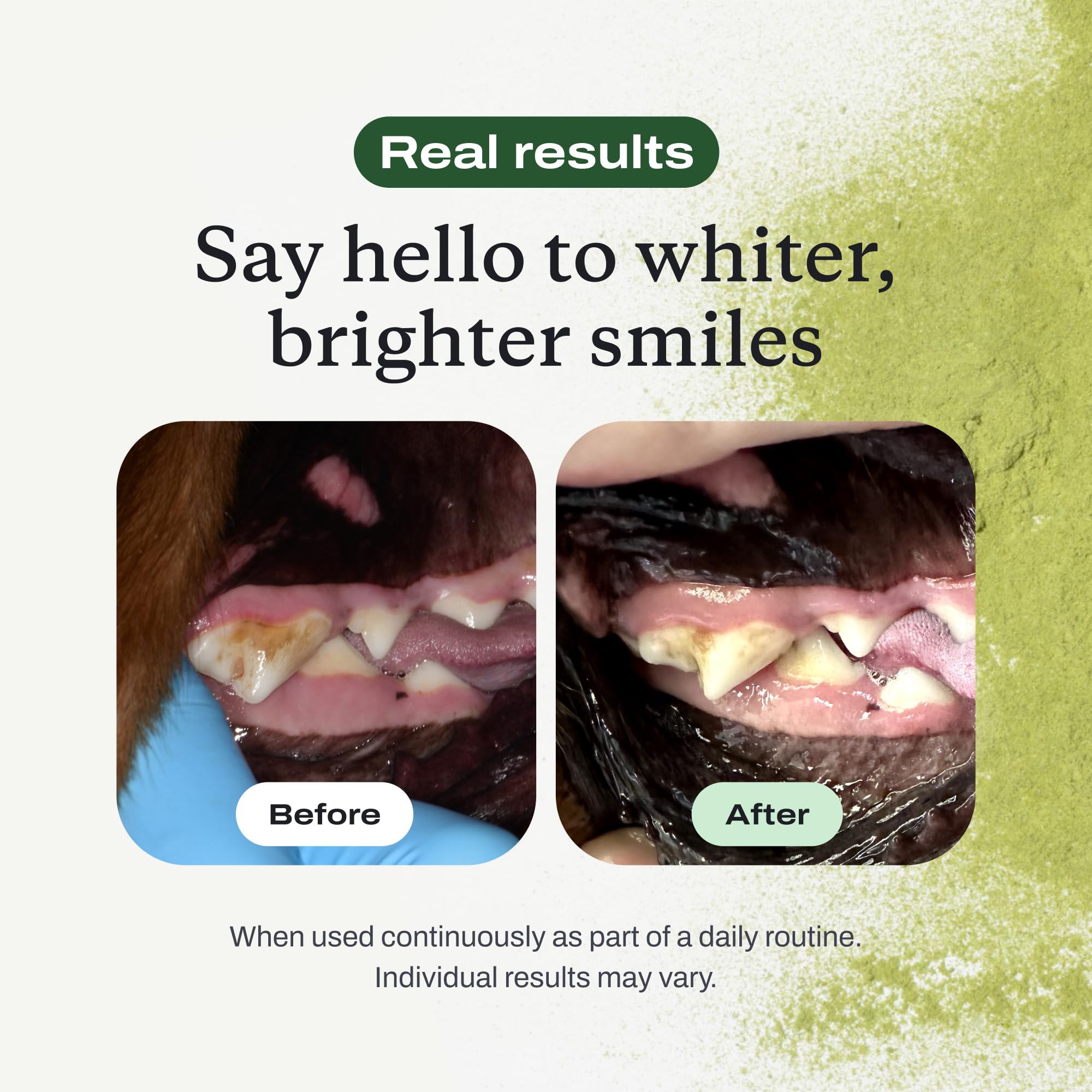 Ingredientes seleccionados para el cuidado dental del perro.