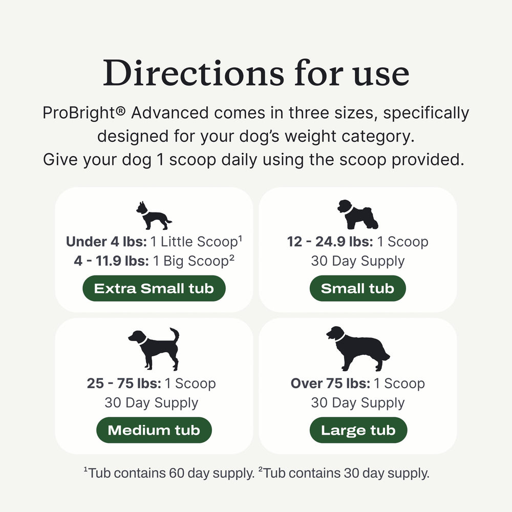 PetLab Co. ProBright: mejora la higiene dental diaria.
