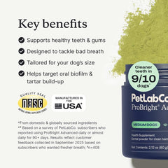 ProBright sabor nuevo en polvo dental para perros, experiencia agradable.