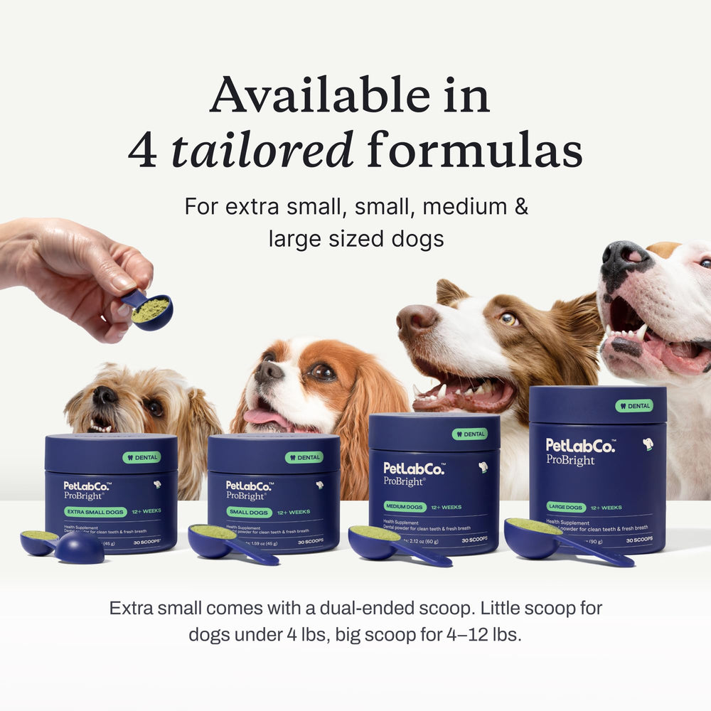 ProBright para tartaro y aliento, adecuado para perros pequeños.