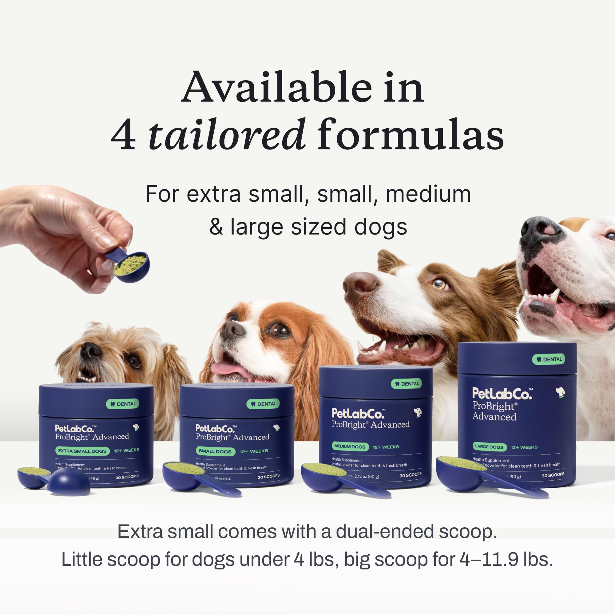 ProBright uso diario en plato de comida para perros de tamaño mediano.