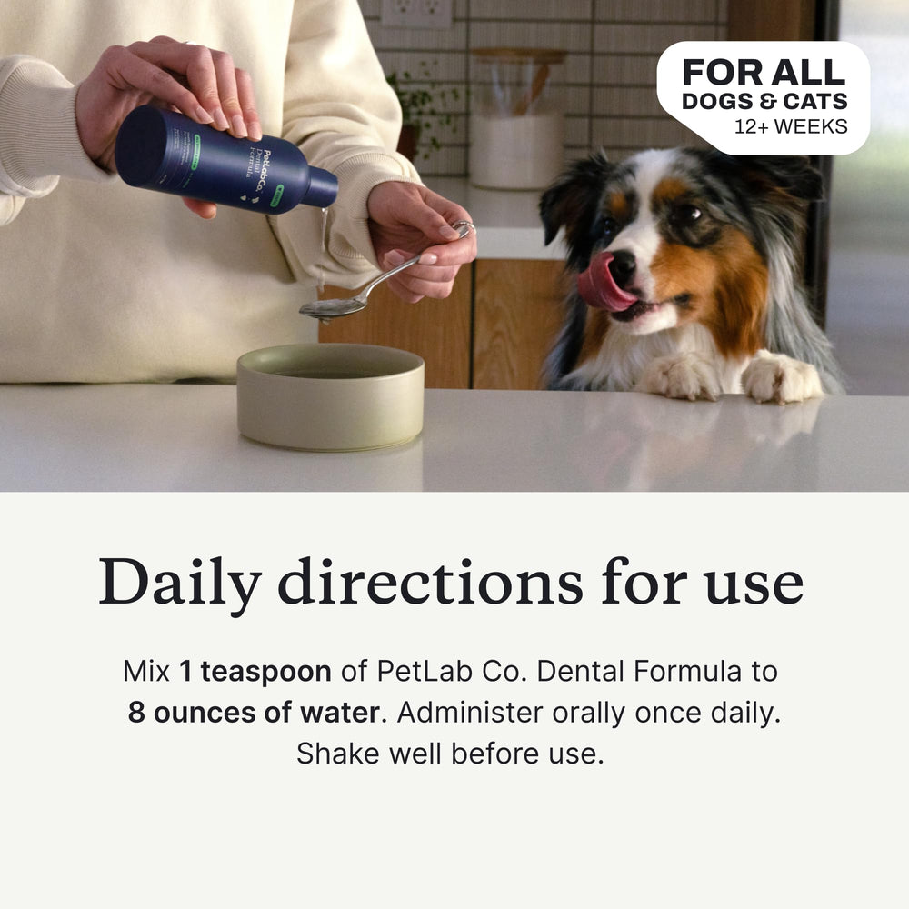 PetLab Co perro con sonrisa fresca gracias al aditivo dental en agua