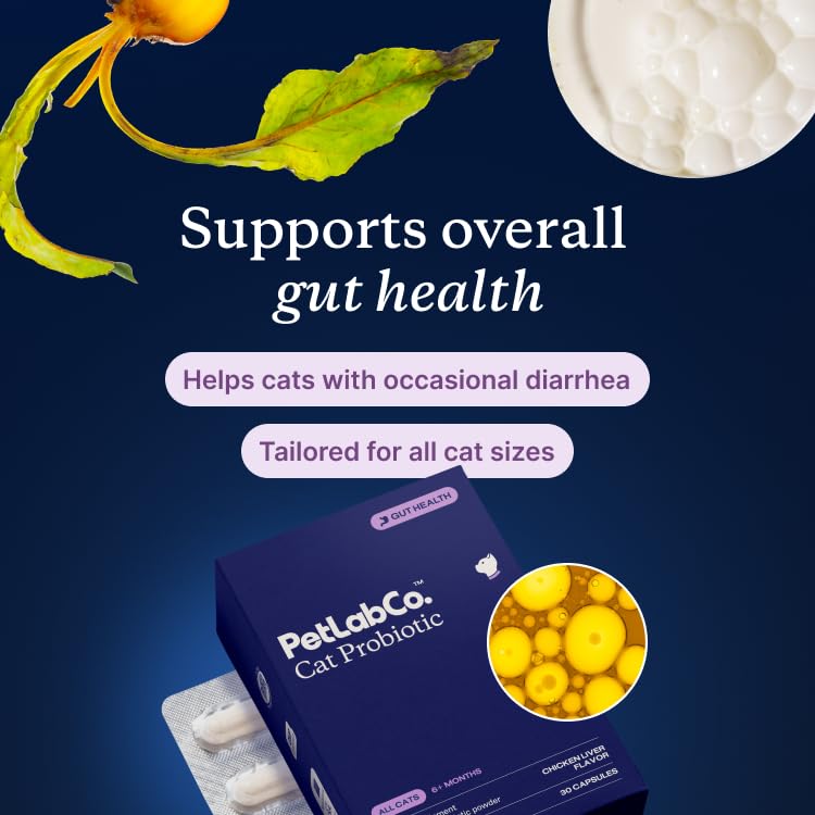 PetLab Co. Probiotics para gatos, apoyo a la inmunidad natural