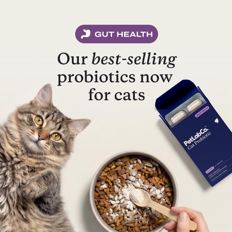 PetLab Co. Probiotics para gatos, digestión sana para felinos activos
