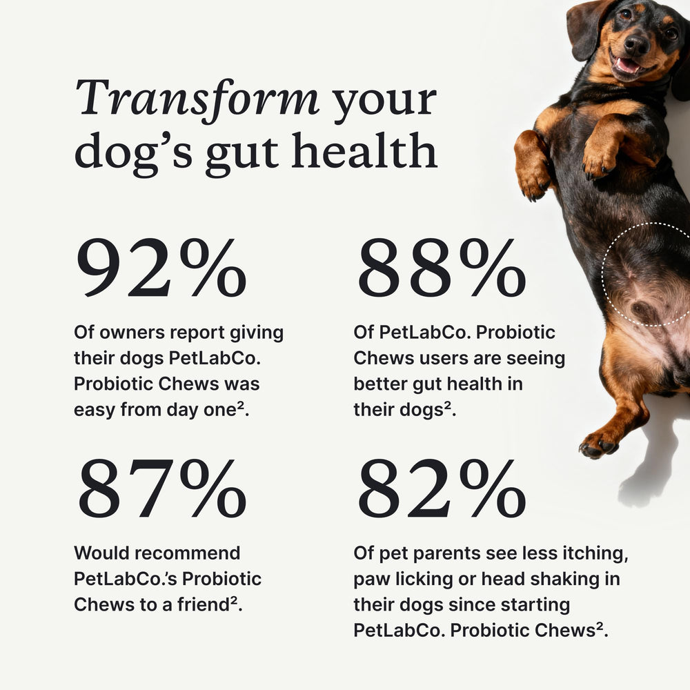 PetLab Co Probiotics con 8 cepas, beneficios para la salud intestinal