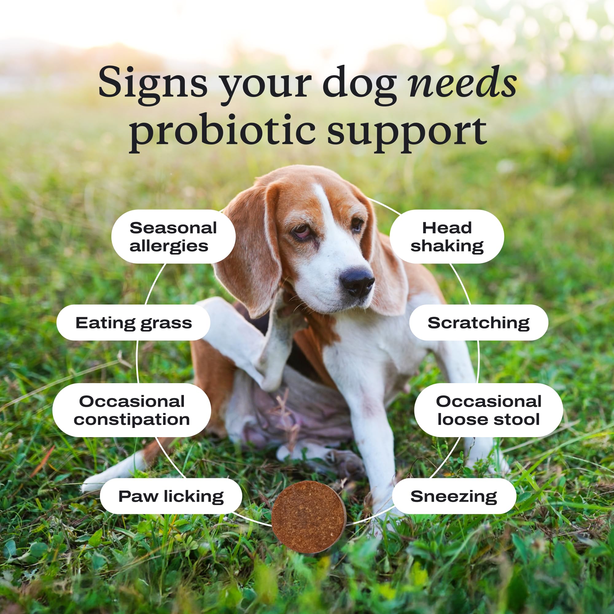 PetLab Co Probiotics para alergias estacionales y piel sensible